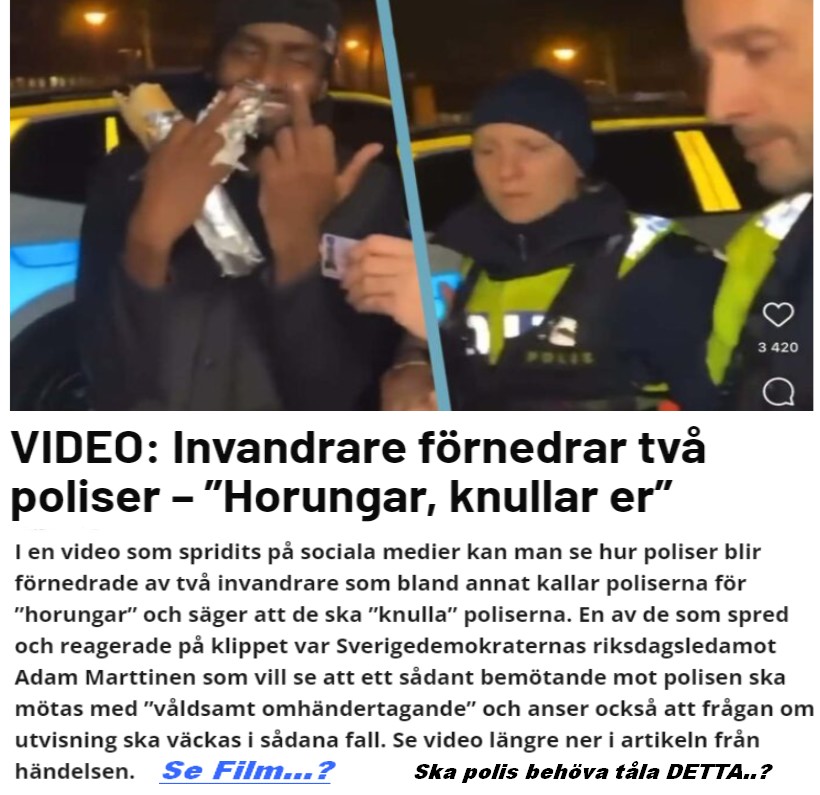 polis_ska_tala_allt.jpg