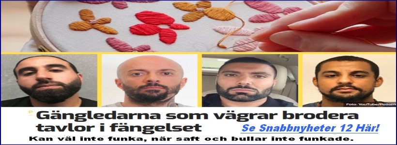 sna_nyheter12.jpg
