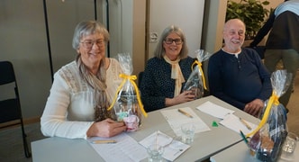 Förbundsmästerskap i Hjärnkoll