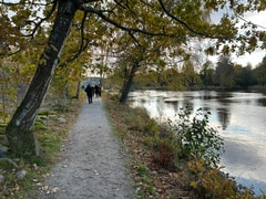 Höstens sista promenad
