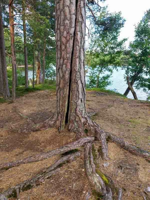 655835