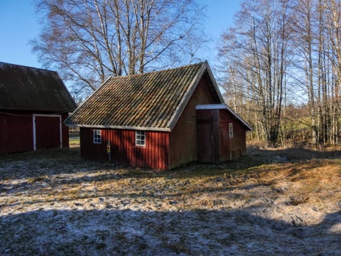 338521