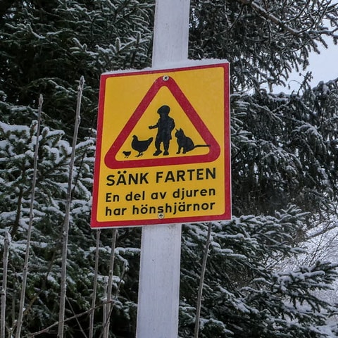 336772
