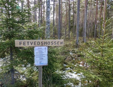 452825