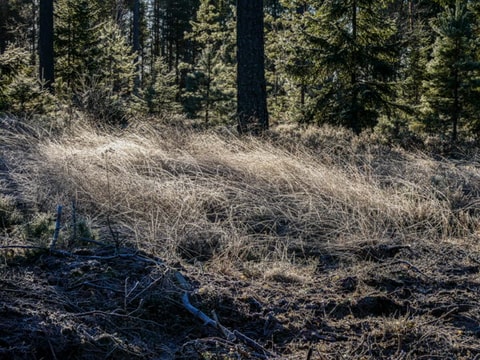 370164