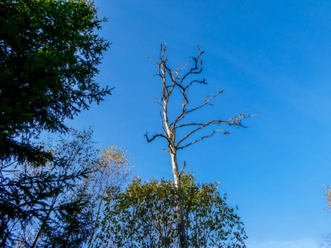 330208