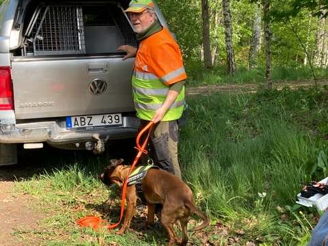 Skyddsjägare med sökhund