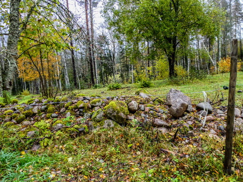 487019