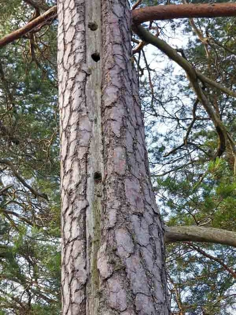 655836