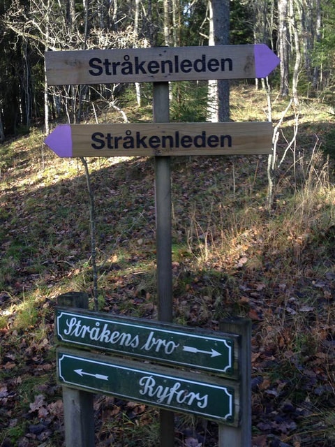 168568