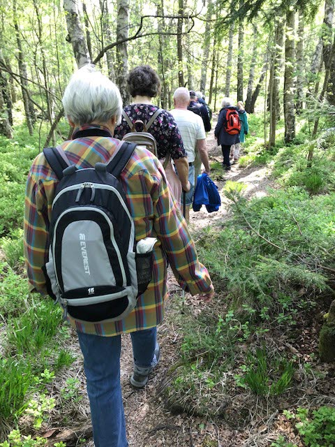 Promenad på Safjället