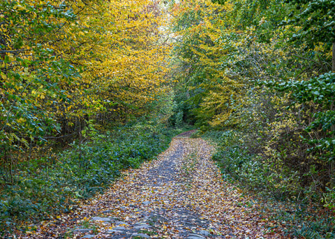 20261026_Svaneholm_0012.jpeg