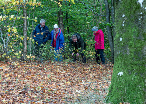 20261026_Svaneholm_0017.jpeg