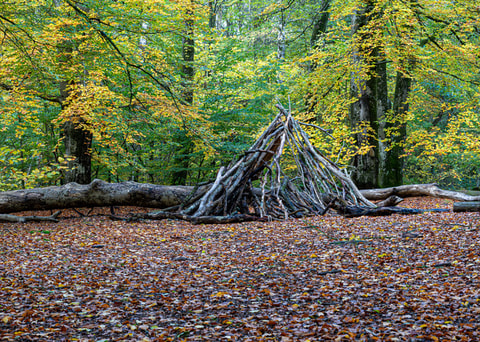20261026_Svaneholm_0026.jpeg