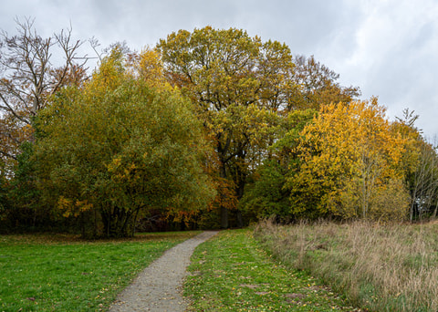 20261026_Svaneholm_0032.jpeg