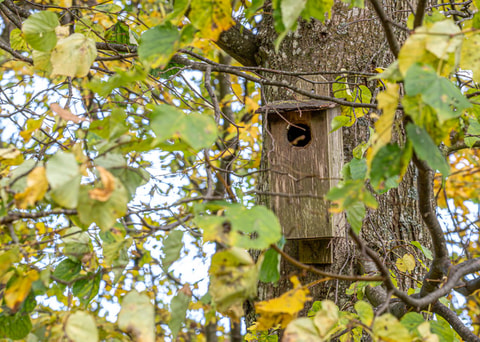 20261026_Svaneholm_0052.jpeg