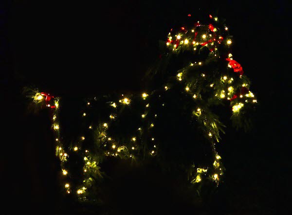 2021-12-12 Julbock Mörk. Foto L Bergström