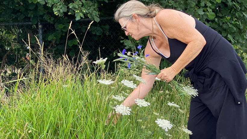 plocka vilda blommor