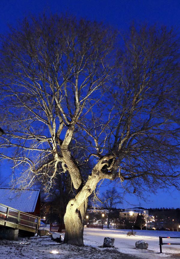 2021-12-26 Edsvik