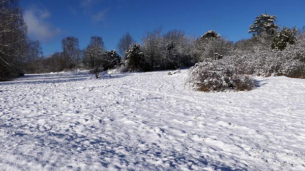 2022-02-20 Järvafältet