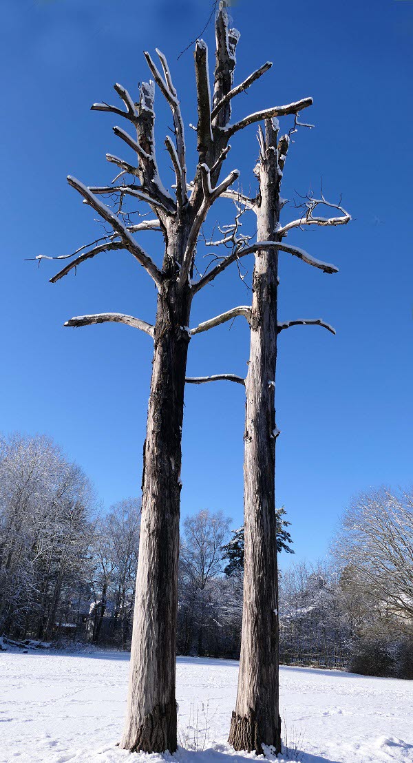 2022-02-20 Fågelsångsparken
