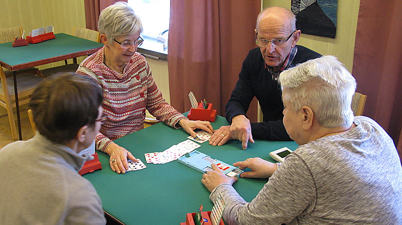 Bridgeutbildning