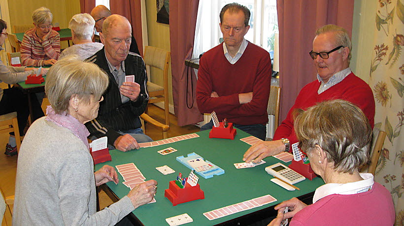 Bridgeutbildning
