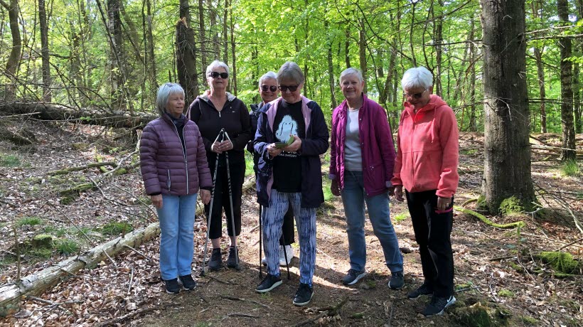 SPF-lärkorna på promenad i Moaskogen våren 2022.