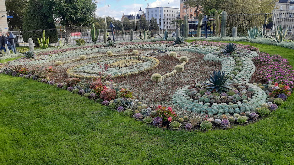 Kaktusplanteringen I Carl Johans park