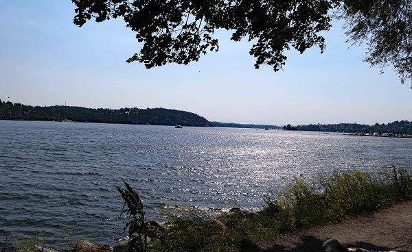 2021-06 Edsviken i motljus
