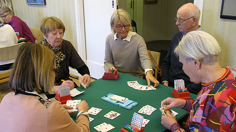Bridgeutbildning