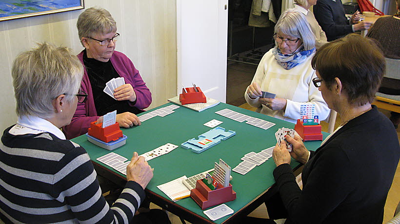 Bridgeutbildning