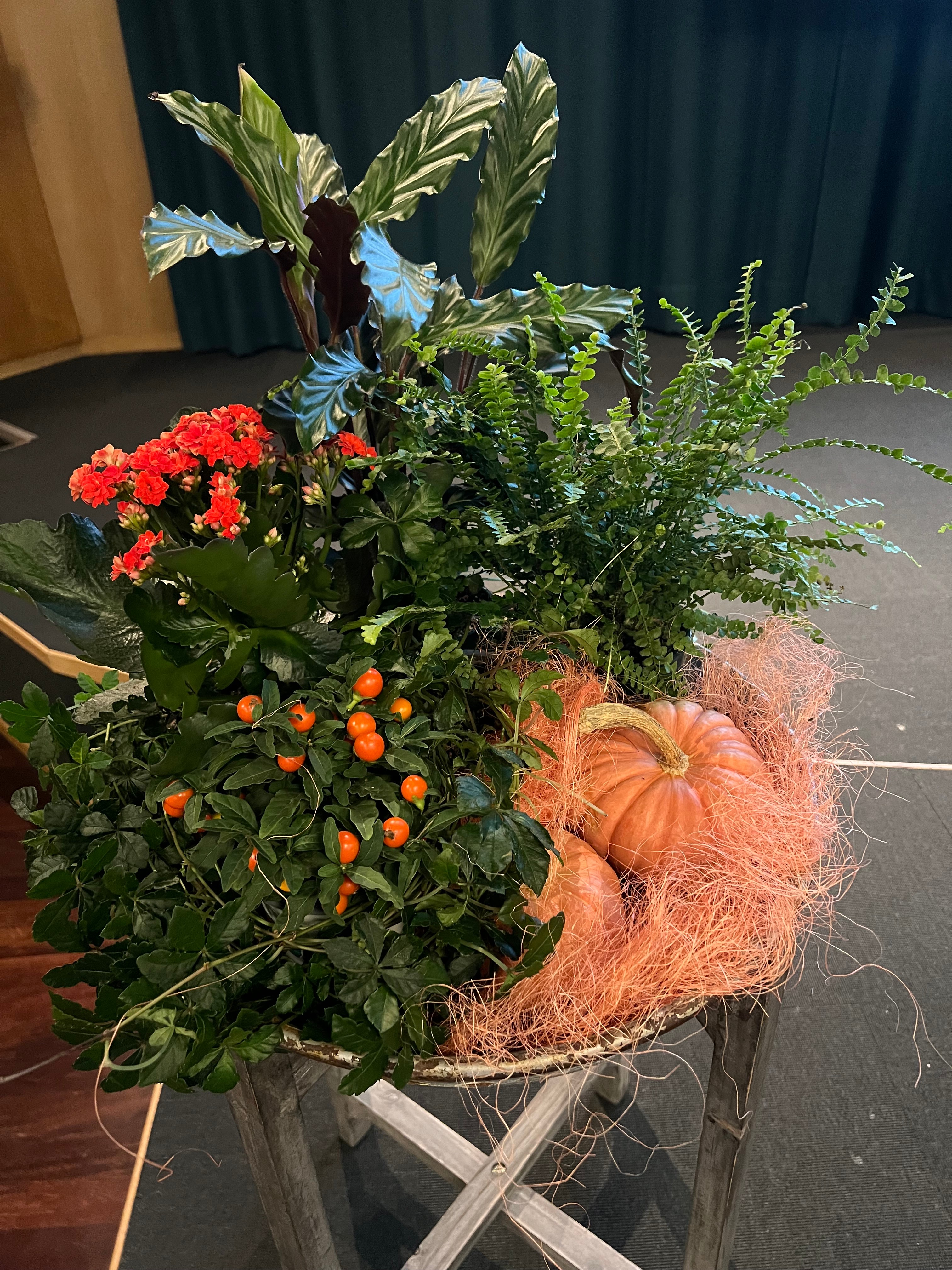 Vacker scendekoration från Bellis blommor        
