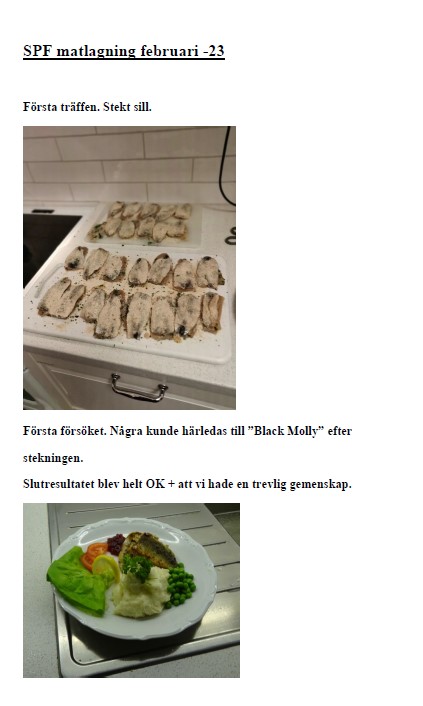 Skärmbild 2023-02-23 S1.jpg