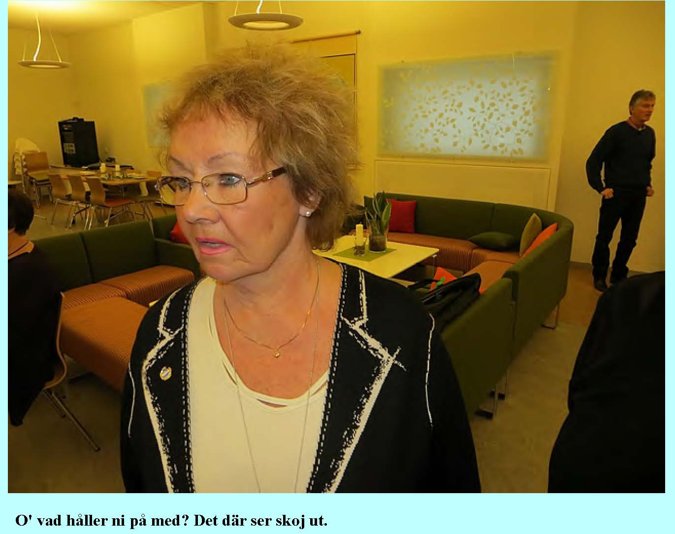 2014-01-11-forsta-mote_Sida_10.jpg