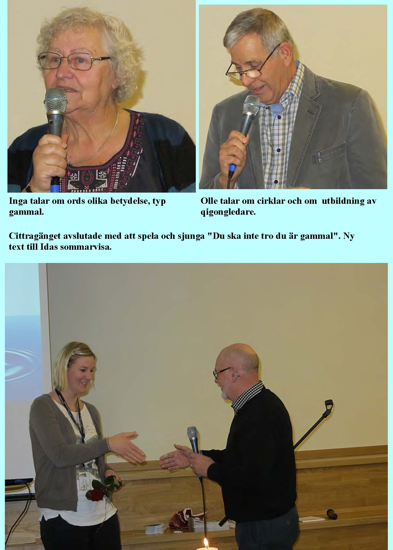 2014-01-11-forsta-mote_Sida_12.jpg