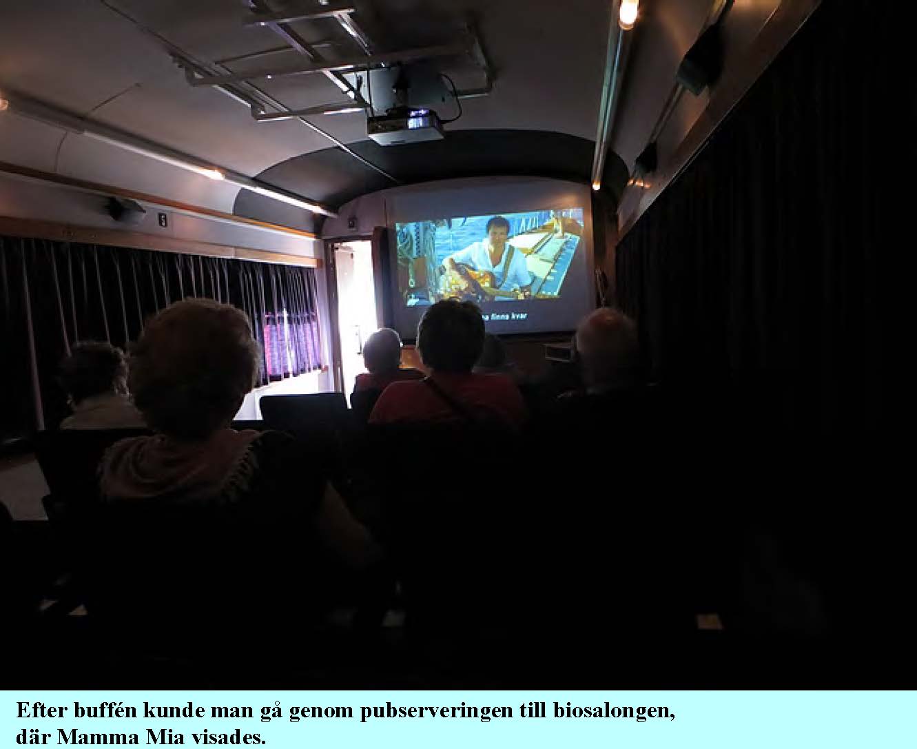 2015-05-30-varfest-pa-tag_Sida_12.jpg