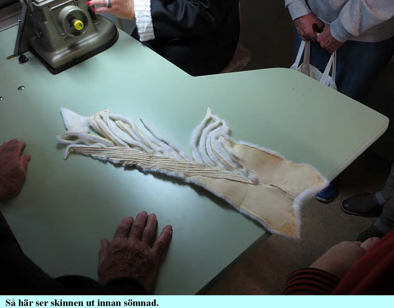 2015-10-20-tranas-palsmuseum_Sida_08.jpg