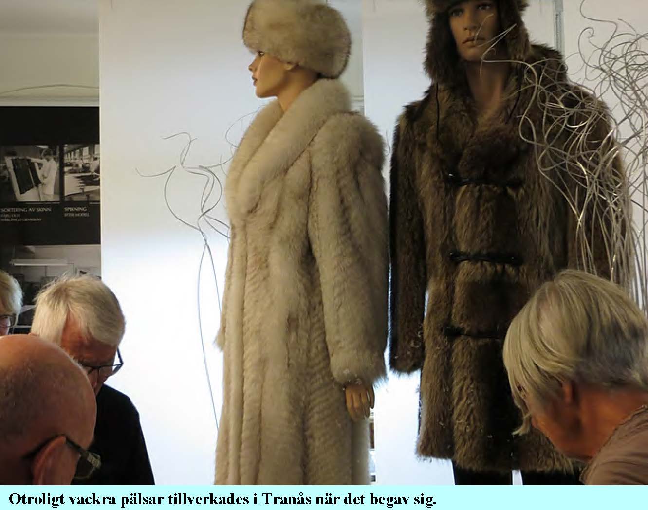 2015-10-20-tranas-palsmuseum_Sida_11.jpg