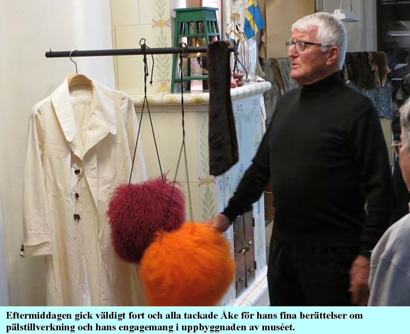 2015-10-20-tranas-palsmuseum_Sida_14.jpg