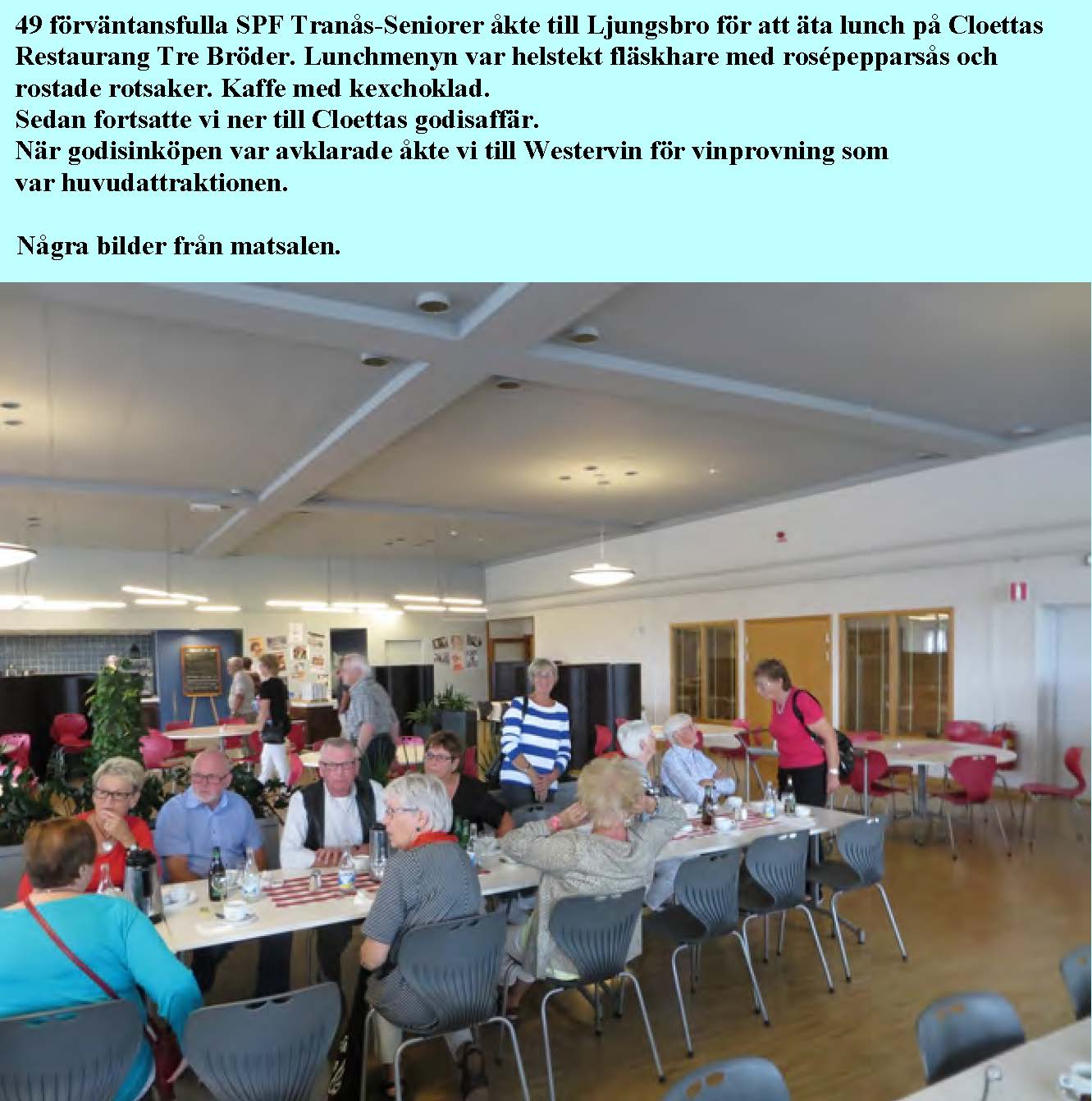 2013-08-30-ljungsbro-westervin_Sida_01.jpg