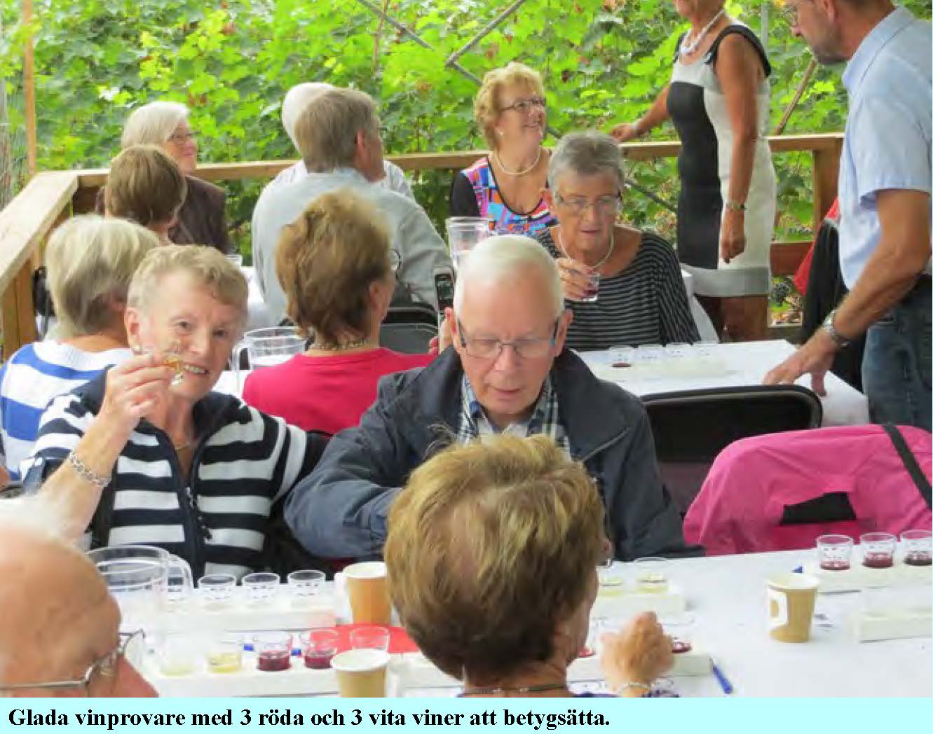 2013-08-30-ljungsbro-westervin_Sida_07.jpg