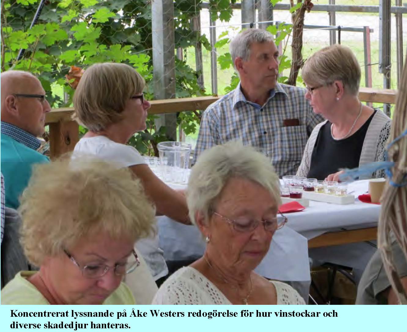2013-08-30-ljungsbro-westervin_Sida_08.jpg