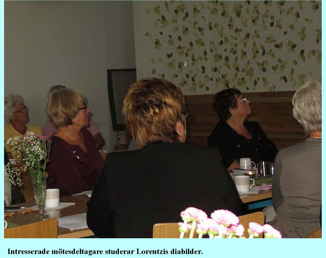 2013-09-15-p-o-lorentzi_Sida_3.jpg