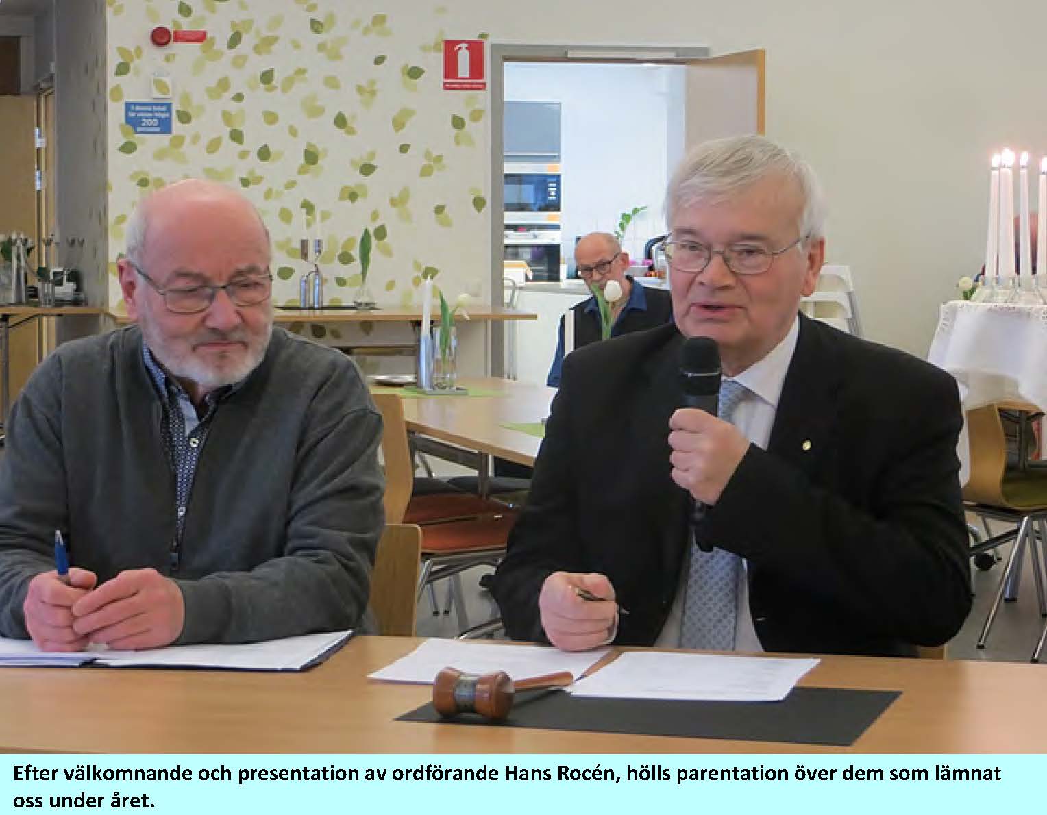 2019-02-08-ars_mote_Sida_2.jpg