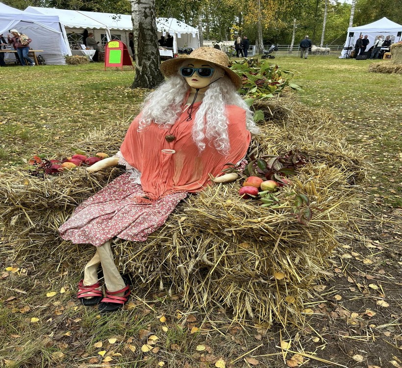 Utmattad bes&ouml;kare820x750.jpg