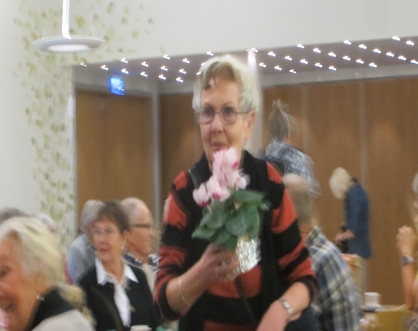 IMG_3247.jpg