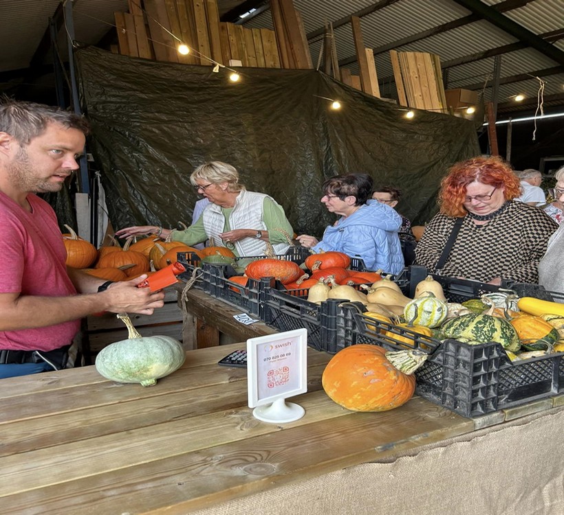 Pumpor alla färger820x750.jpg